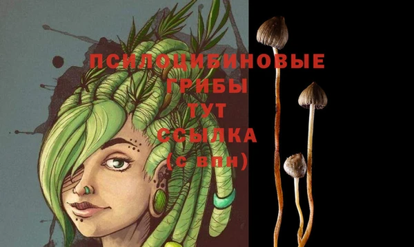 соль курить ск Абаза