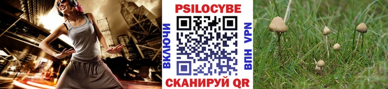 Галлюциногенные грибы Magic Shrooms  как найти наркотики  Хилок 